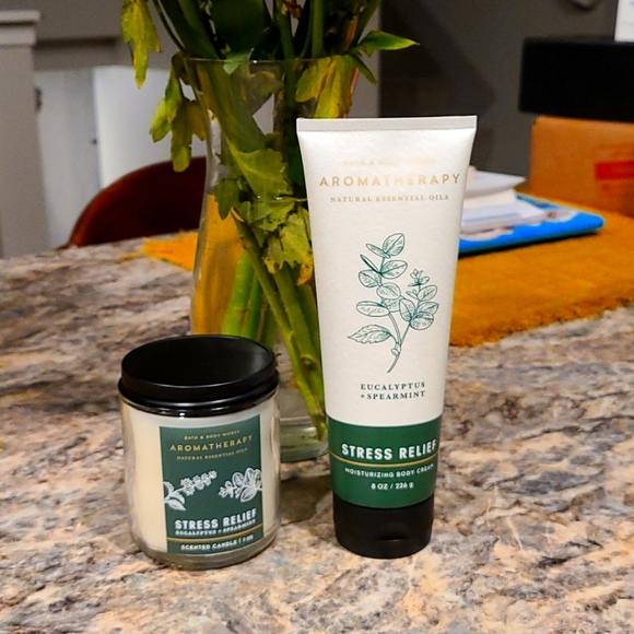 Bath & Body Works Other - Bath and body lotion and candle